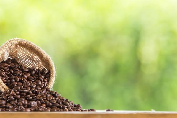 Caffè arabica: significato, provenienza e proprietà